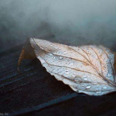 万博(ManBetx)手机app下载